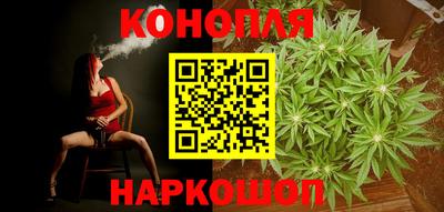 стаф Краснодар