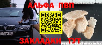 стаф Краснодар