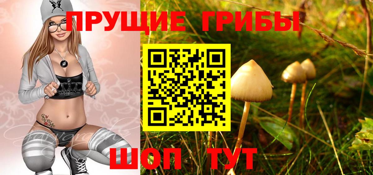 Кольчугино  Марихуана  Где найти наркотики?  ЭКСТАЗИ  ГАШ  A PVP СК   Вход с VPN  Кокаин  Меф МЯУ МЯУ кристаллы 